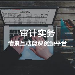 審計實務情景互動微課資源平臺軟件