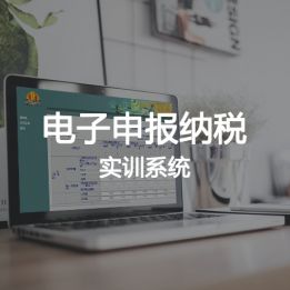電子申報納稅實訓系統