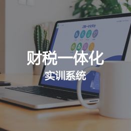 財稅一體化實訓系統軟件